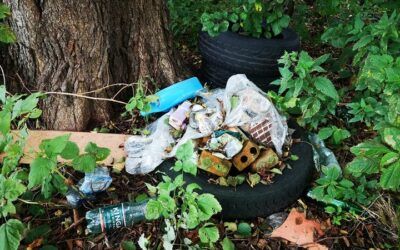 Święto Lasu i Ochrony Klimatu – akcja sprzątania śmieci