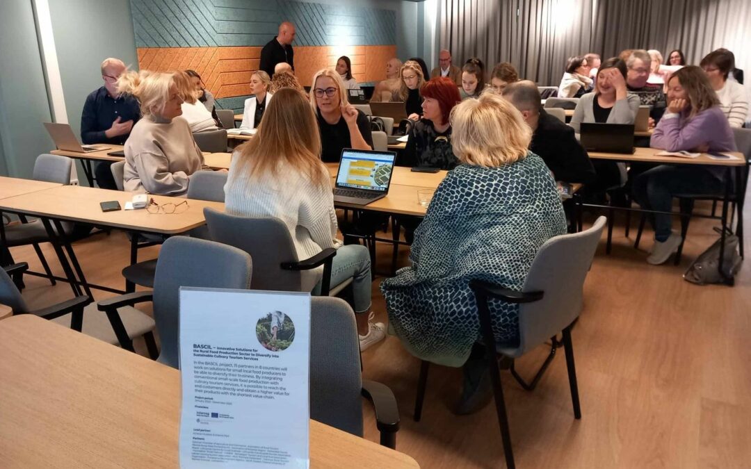 Spotkanie Partnerów projektu BASCIL w Finlandii